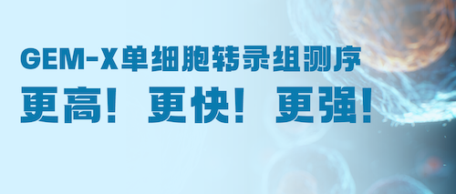 限时抢鲜 | 升级GEM-X单细胞转录组，成就数据质量新高